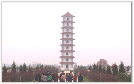 公墓环境